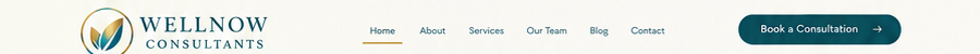 Wellnow Consultants header